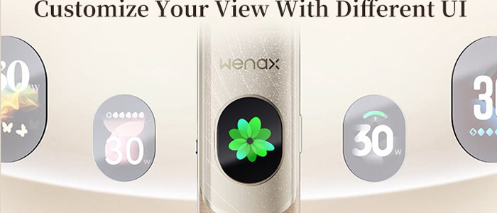 prix en gros pod wenax q2 geekvape