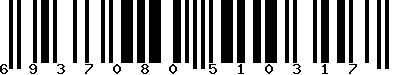 Code barre 6937080510317