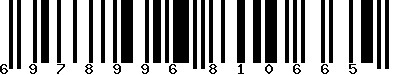 EAN-13 : 6978996810665